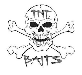 TNT BAITS logo