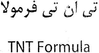 TNT FORMULA logo