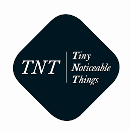 TNT | TINY NOTICEABLE THINGS logo