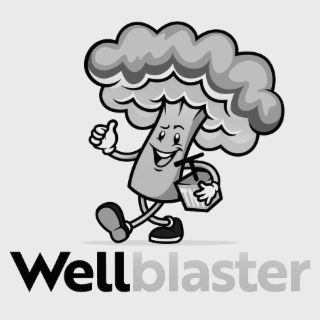 TNT WELLBLASTER logo