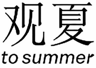 TO SUMMER logo