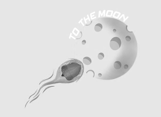 TO THE MOON logo
