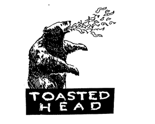 TOASTED HEAD