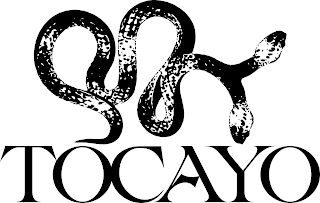 TOCAYO logo