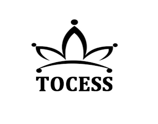 TOCESS logo