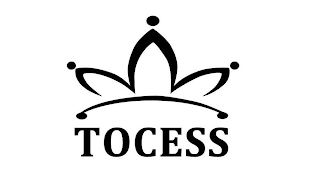 TOCESS logo