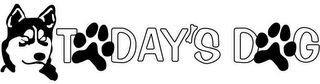 TODAY'S DOG logo