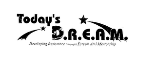 TODAY'S D.R.E.A.M. DEVELOPING RESISTANCE (THROUGH) ESTEEM AND MENTORSHIP logo