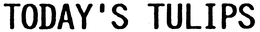 TODAY'S TULIPS logo