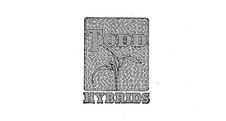 TODD HYBRIDS logo