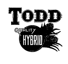 TODD QUALITY HYBRID logo