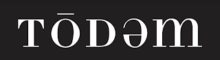 TODEM logo