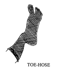 TOE-HOSE logo