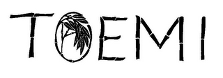 TOEMI logo