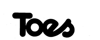 TOES logo