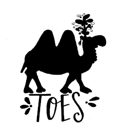 TOES logo