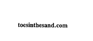 TOESINTHESAND.COM logo