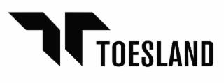 TOESLAND logo