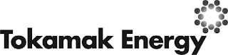 TOKAMAK ENERGY logo