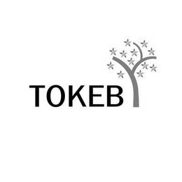 TOKEB logo