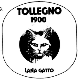 TOLLEGNO 1900 LANA GATTO logo