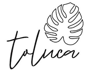 TOLUCA logo