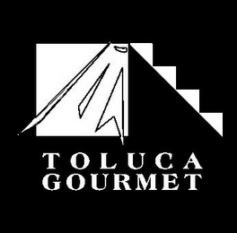 TOLUCA GOURMET logo