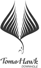 TOMAHAWK DOWNHOLE logo