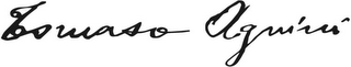 TOMASO AGNINI logo