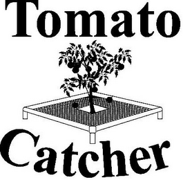 TOMATO CATCHER logo