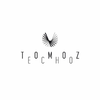 TOMOZ ECHO logo
