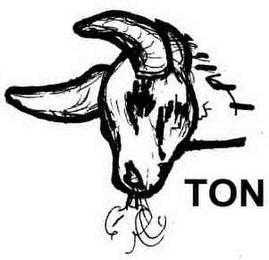 TON logo