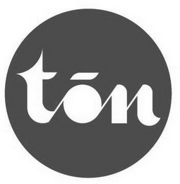 TON logo