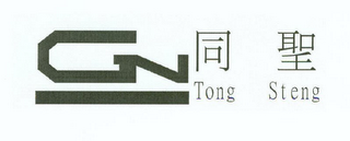 TONG STENG logo