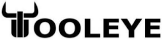 TOOLEYE logo