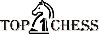 TOP 1 CHESS logo
