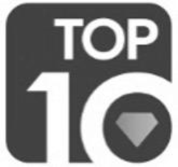 TOP 10 logo