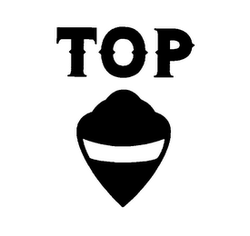 TOP logo