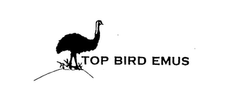 TOP BIRD EMUS logo