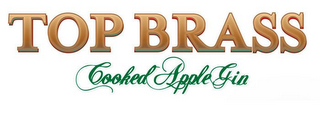 TOP BRASS COOKED APPLE GIN logo