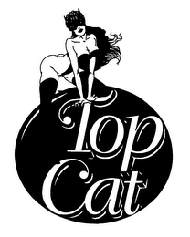 TOP CAT logo