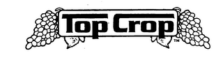 TOP CROP logo