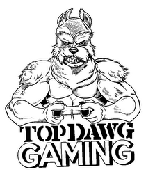 TOP DAWG GAMING logo