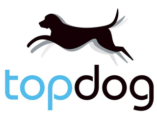 TOP DOG logo
