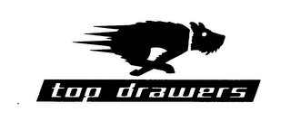 TOP DRAWERS logo
