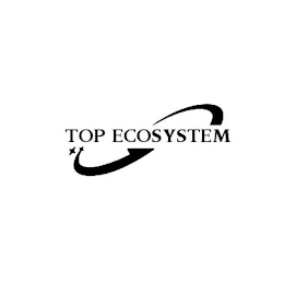 TOP ECOSYSTEM logo
