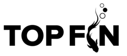 TOP FIN logo