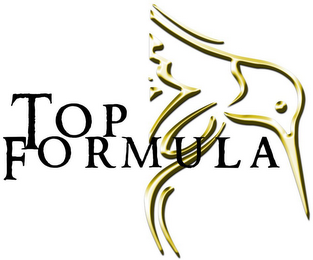 TOP FORMULA logo