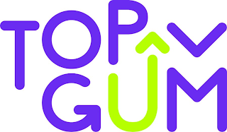 TOP GUM logo