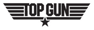 TOP GUN logo